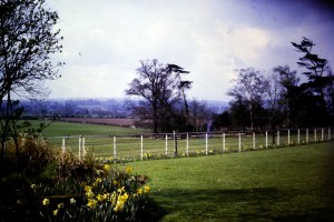 Ridware Hall View across paddock towards Oak